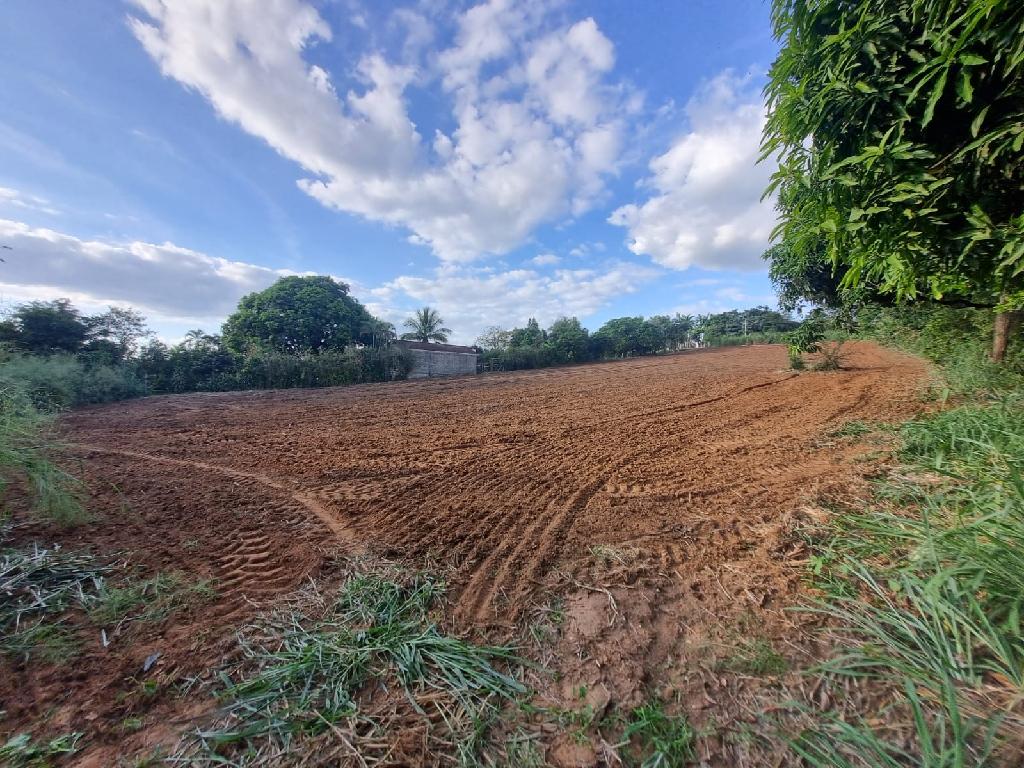 Terreno 2353