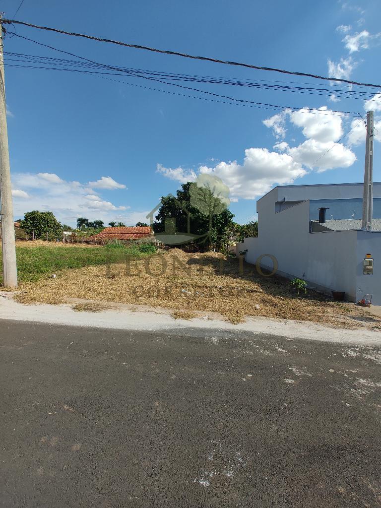 Terreno 3101