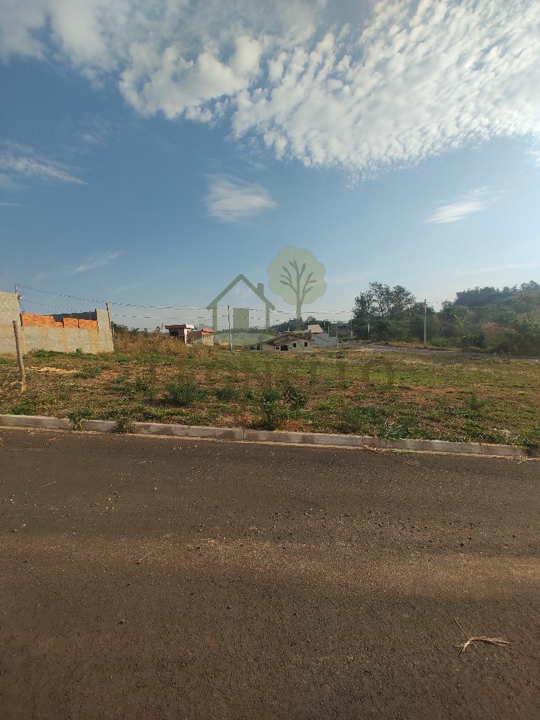 Terreno 3221